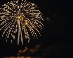 金柳垂下烟花 Golden Willow firework